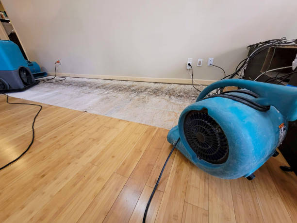Professional Water Damage Repair technician working in Ash Fork, AZ